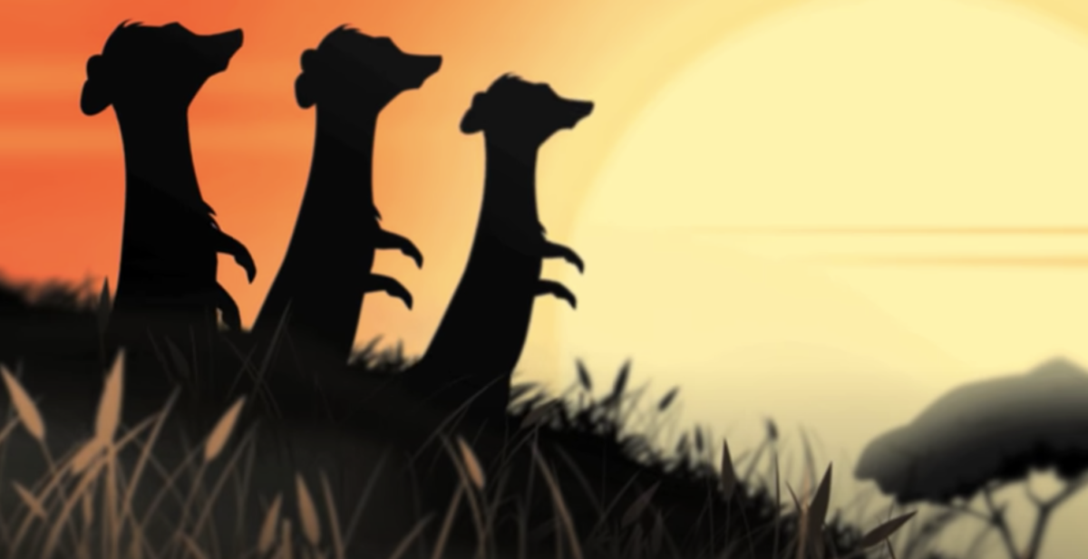 album title goes here top charts