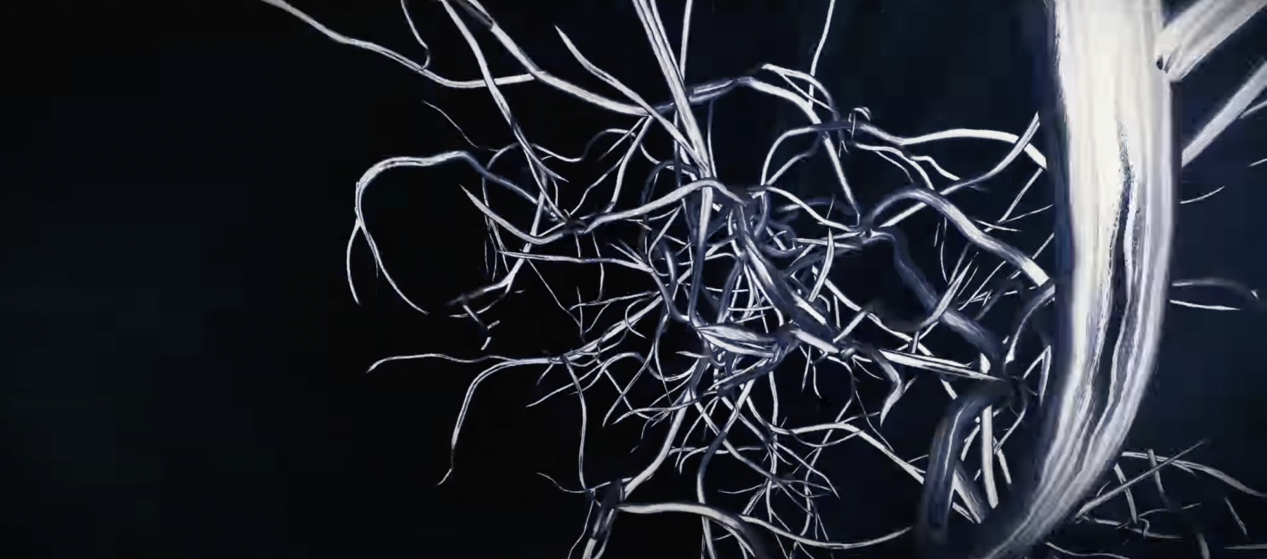 Kx5 feat. The Moth & The Flame – Alive